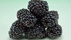 A pile of fresh blackberries on a pale background