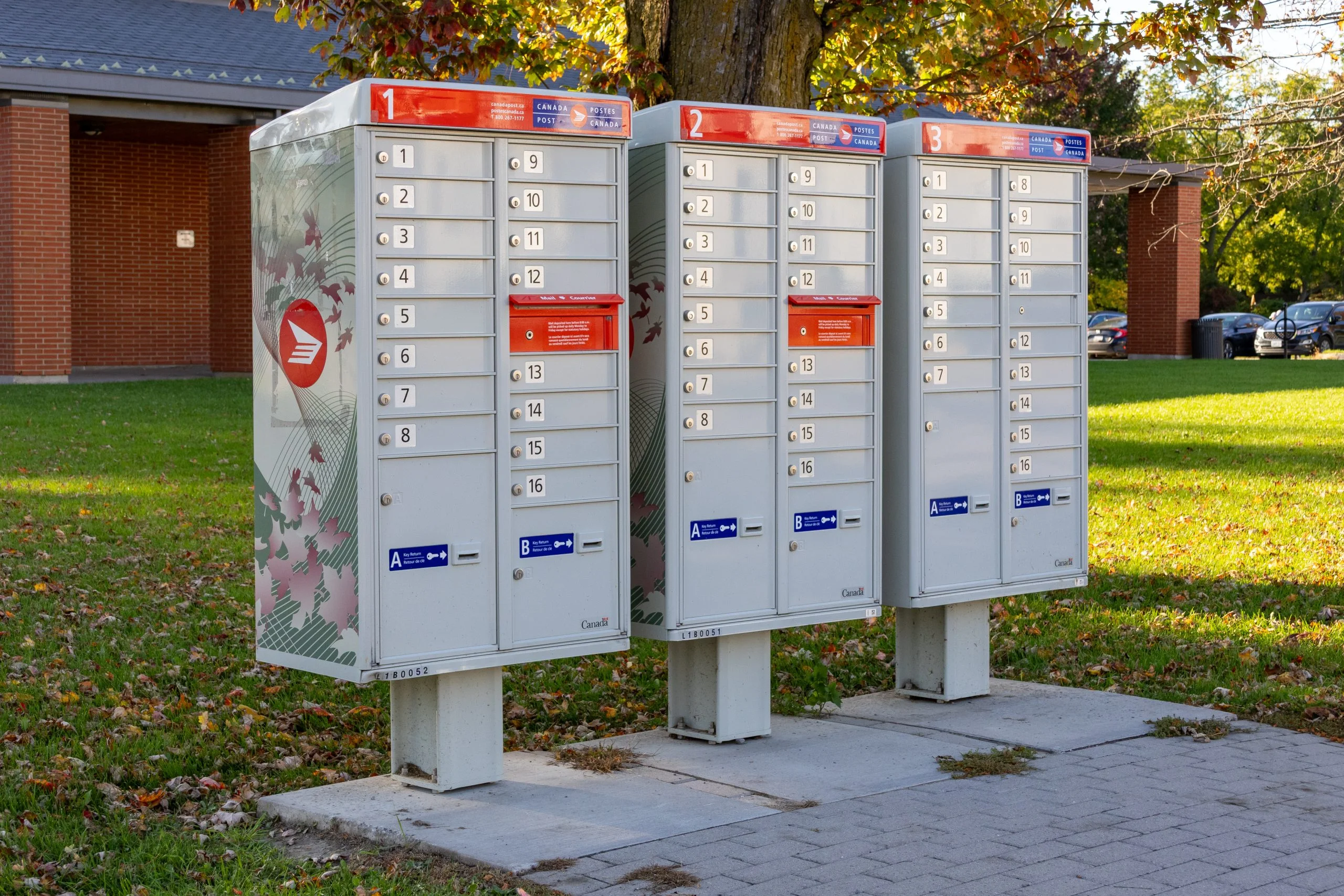 A Canada Post community mailbox unit standing on a grass verge in a residential street