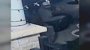 Peel Regional Police handout image of the man wanted over a stabbing and attempted carjackings near Clockwork Drive and Creditview Road in Brampton on 6 September 2026.