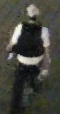 Security camera image, seen from behind, of a suspect sought by Toronto police in a break-in at a Toronto Island restaurant.